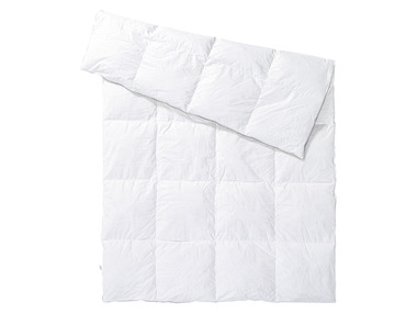 Down Duvet
