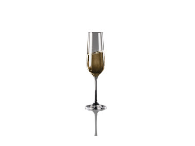 Lot de 6 verres (flûtes à champagne)