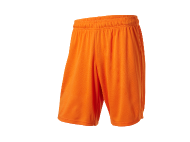 Sports shorts for men