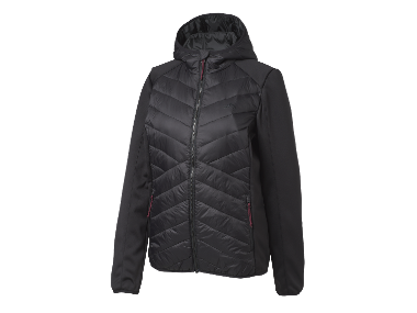 Women's Hybrid Jacket