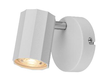 Adjustable Wall and Ceiling Spotlight