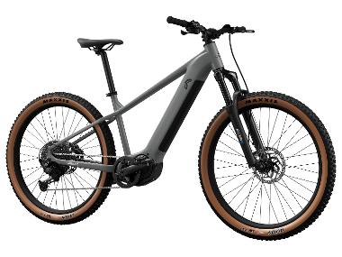 Electric Mountain Bike