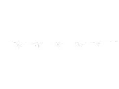 Dandelion String Lights