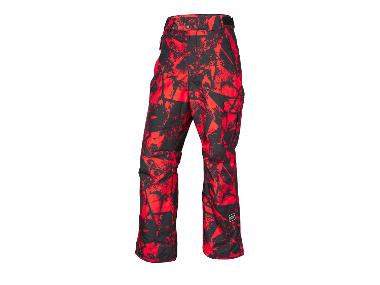 Men's Freeride Pants