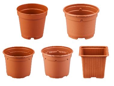 Pots de culture