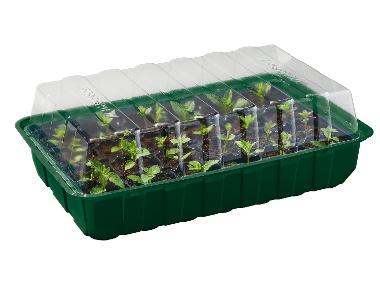 Seed Starter Tray