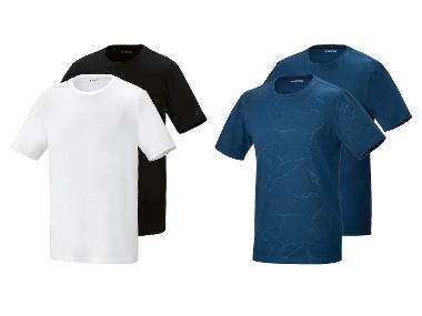 Herren T-Shirts, 2 Stück, mit HeiQ Mint Technologie