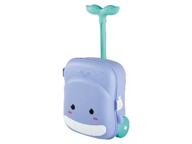 Beach Toy Case