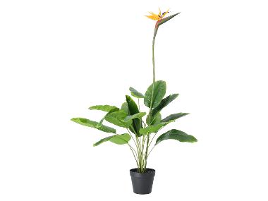 Kunstpflanze Olivenbaum / Strelitzie / Palme (Strelitzie)