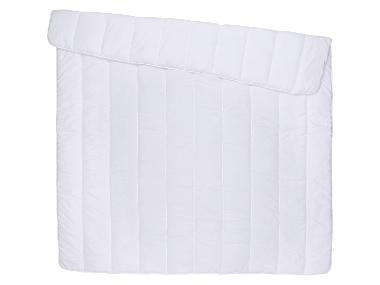 Lightweight Duvet