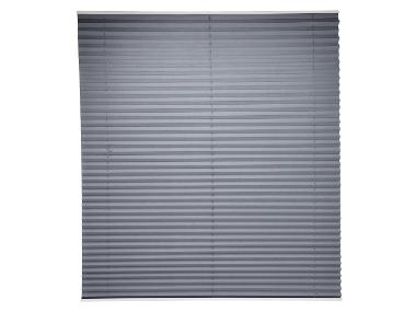 Pleated Blind