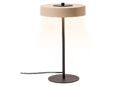 LED Table Lamp