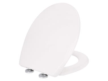 Toilet Seat