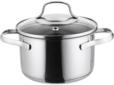 Stainless Steel Pot