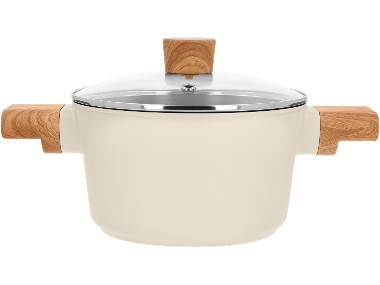 Cast Aluminum Cooking Pot