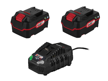 Set van 2 accu's 20 V - 4 Ah en 1 lader - 4,5 A